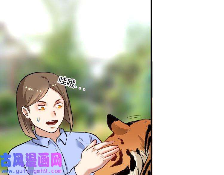 我的成就有点多第167话 第二只老虎？