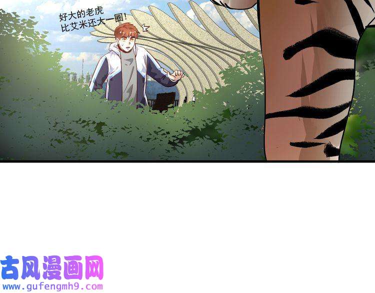 我的成就有点多第167话 第二只老虎？