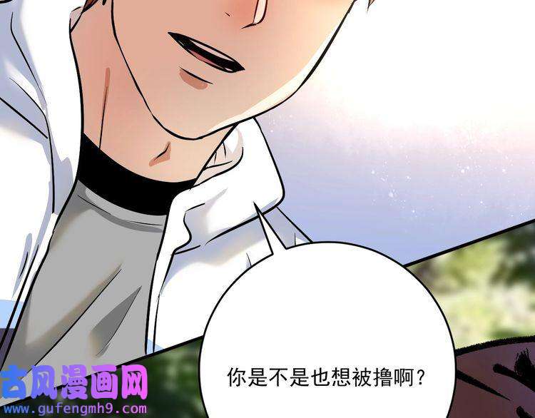 我的成就有点多第167话 第二只老虎？