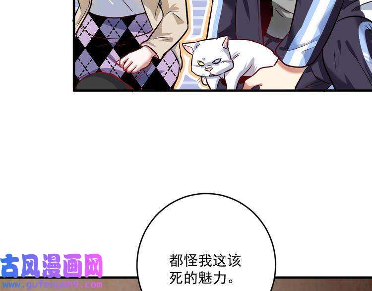 我的成就有点多第169话 猫咪计划