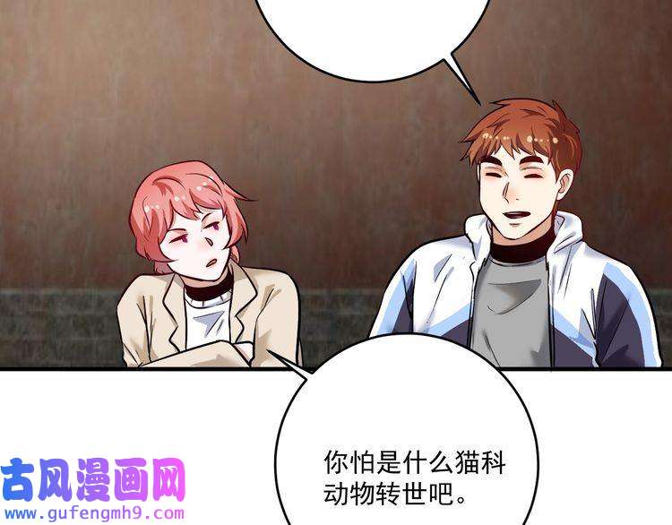 我的成就有点多第169话 猫咪计划