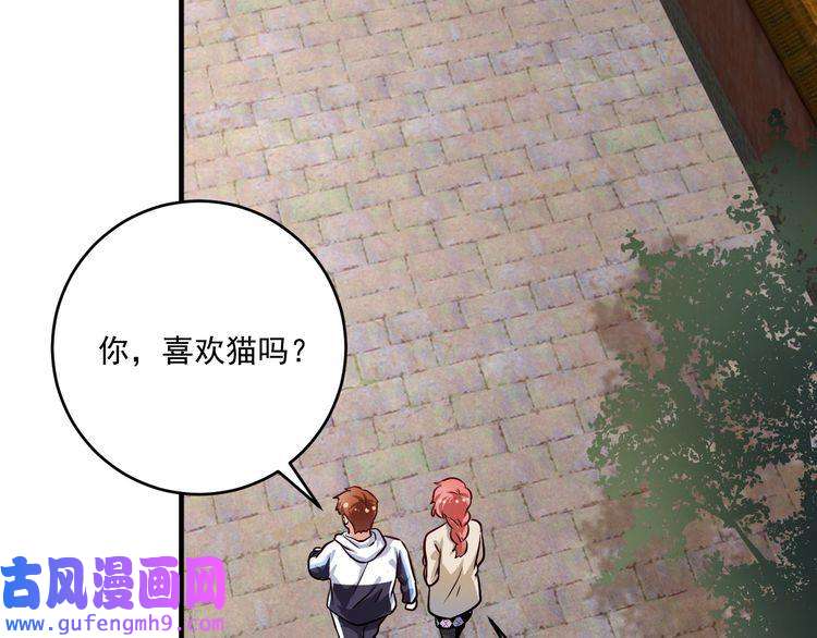 我的成就有点多第169话 猫咪计划