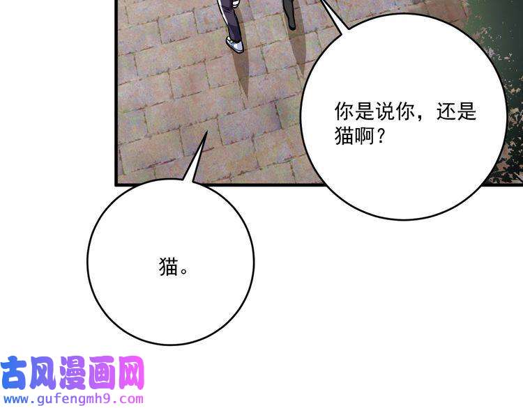 我的成就有点多第169话 猫咪计划