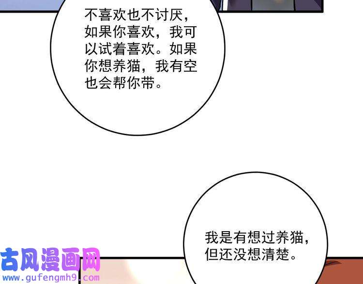 我的成就有点多第169话 猫咪计划