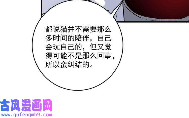 我的成就有点多第169话 猫咪计划