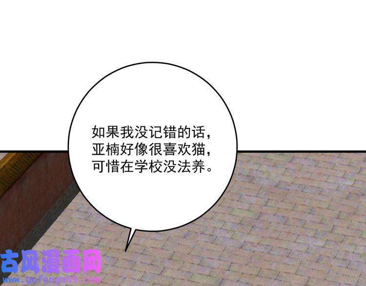 我的成就有点多第169话 猫咪计划