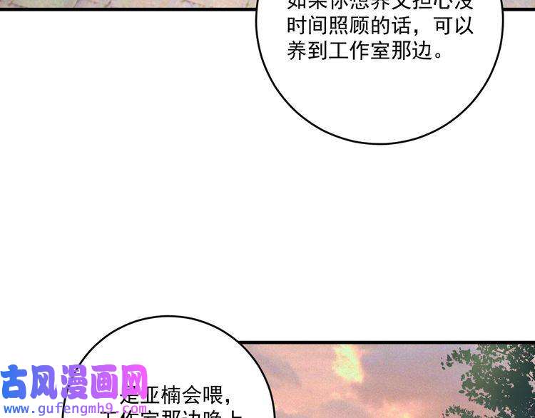 我的成就有点多第169话 猫咪计划