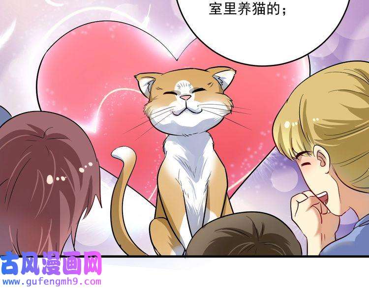 我的成就有点多第169话 猫咪计划