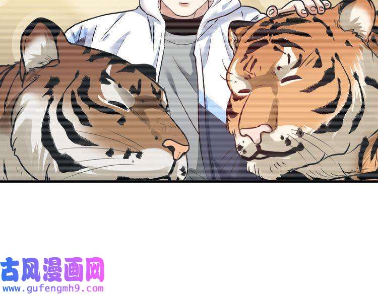 我的成就有点多第169话 猫咪计划