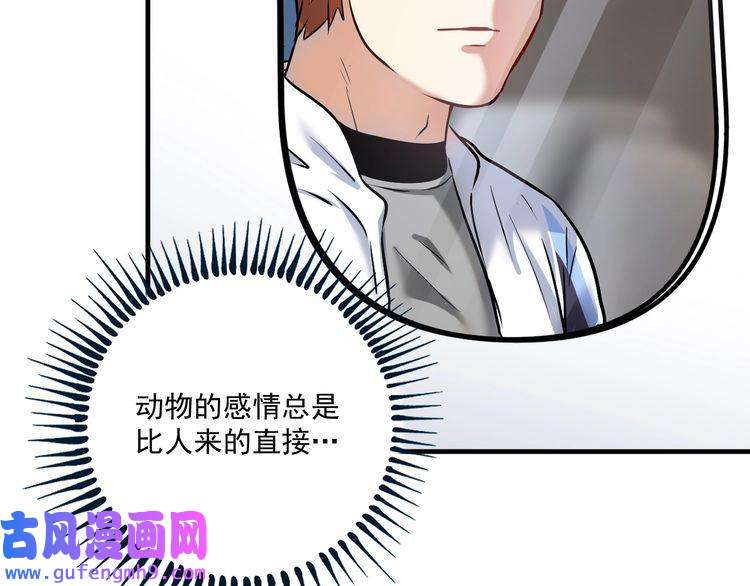 我的成就有点多第169话 猫咪计划
