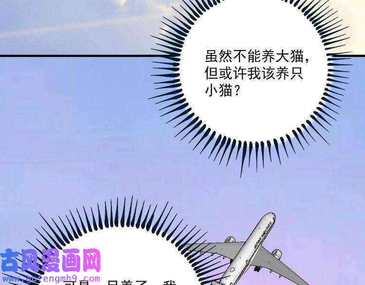 我的成就有点多第169话 猫咪计划