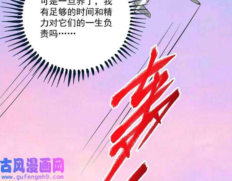 我的成就有点多第169话 猫咪计划