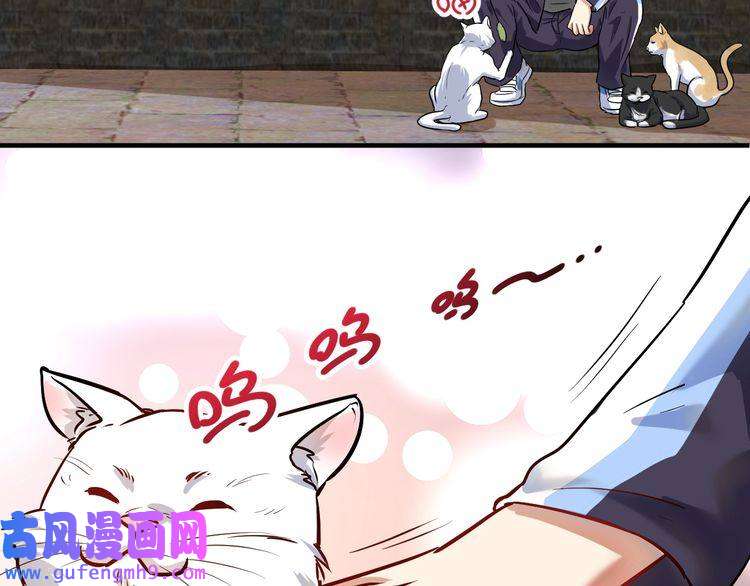 我的成就有点多第169话 猫咪计划