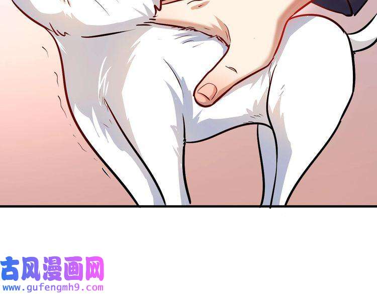 我的成就有点多第169话 猫咪计划