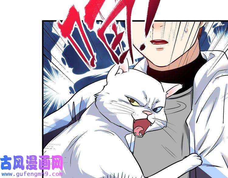 我的成就有点多第169话 猫咪计划