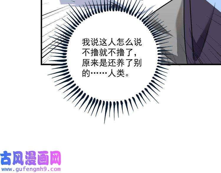 我的成就有点多第169话 猫咪计划