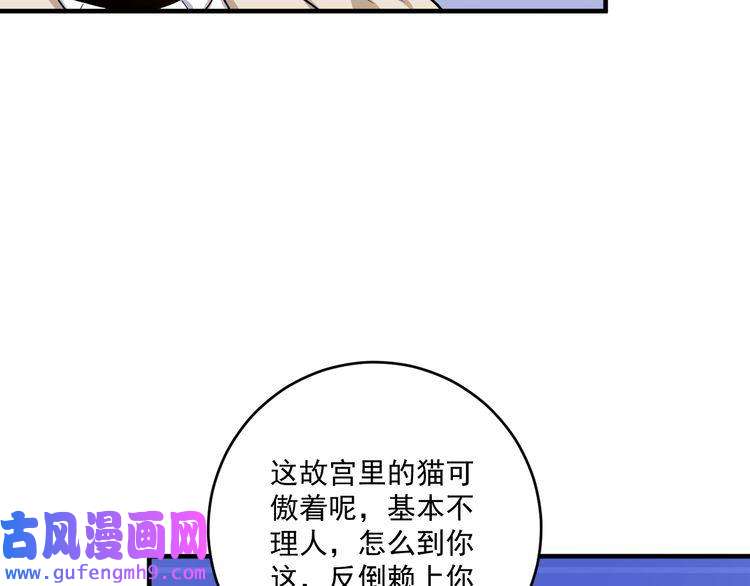 我的成就有点多第169话 猫咪计划