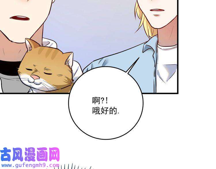 我的成就有点多第171话 重话赛场