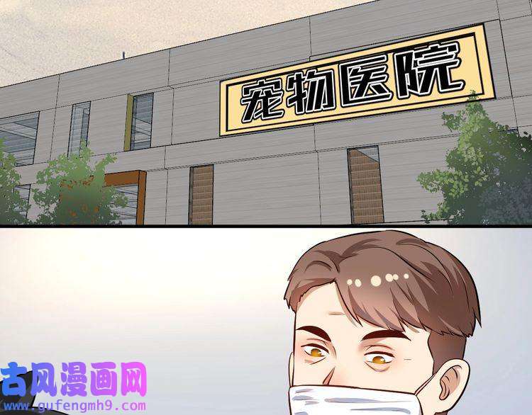 我的成就有点多第171话 重话赛场