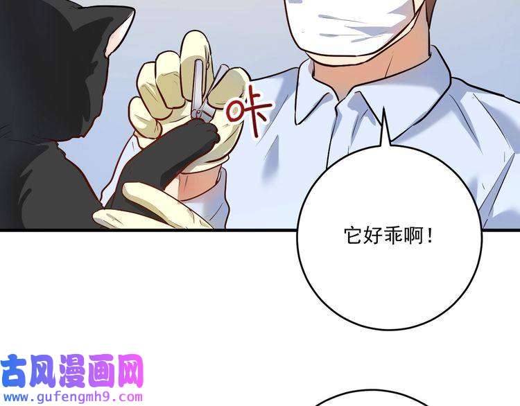 我的成就有点多第171话 重话赛场