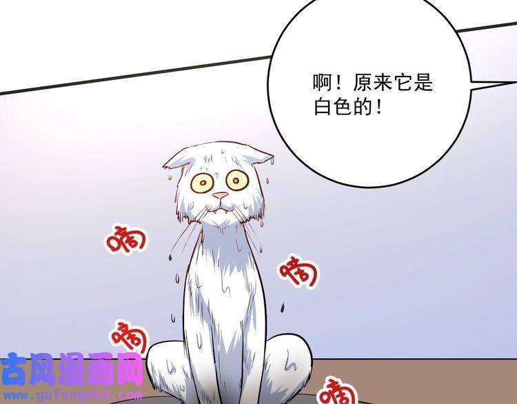 我的成就有点多第171话 重话赛场