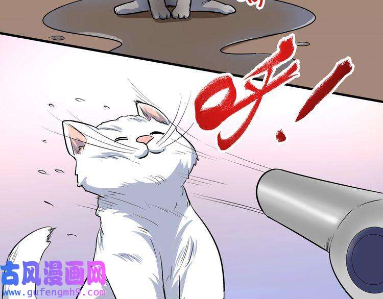 我的成就有点多第171话 重话赛场