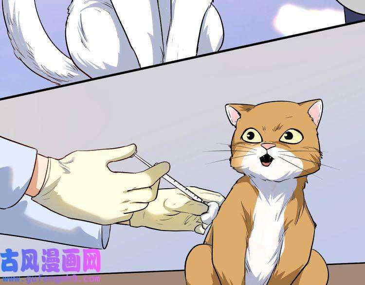 我的成就有点多第171话 重话赛场