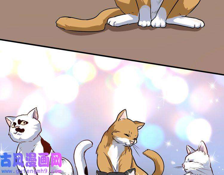 我的成就有点多第171话 重话赛场