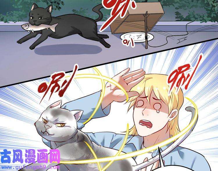 我的成就有点多第171话 重话赛场