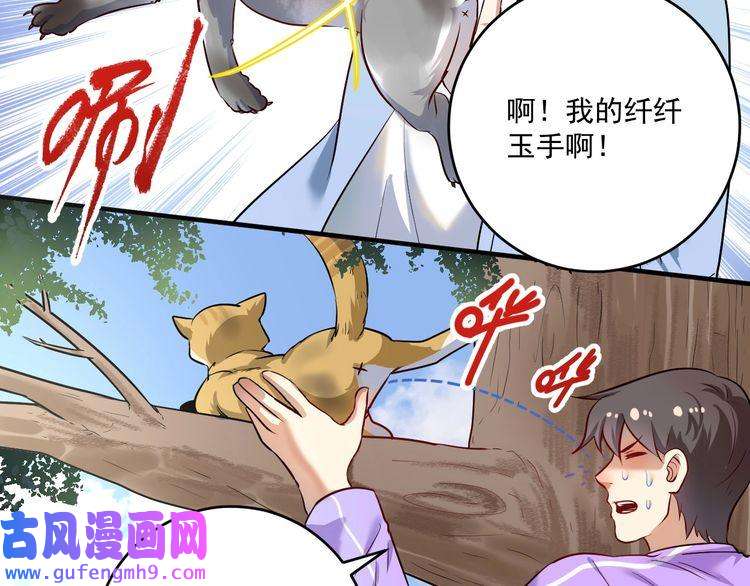 我的成就有点多第171话 重话赛场