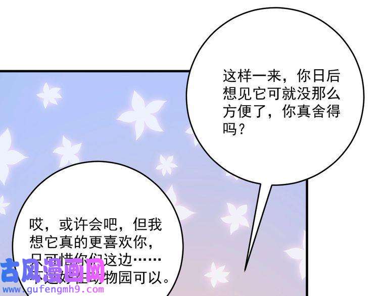 我的成就有点多第180话 我的一个迪拜朋友
