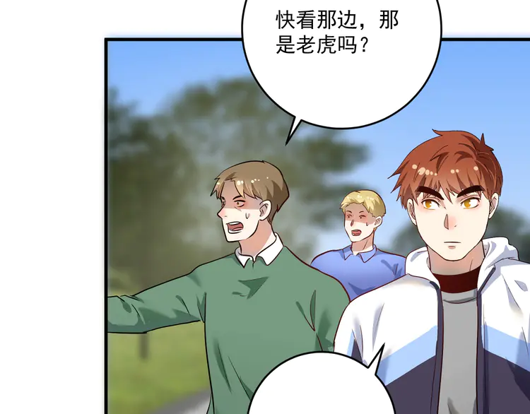 我的成就有点多167 第165话 猛虎来袭！