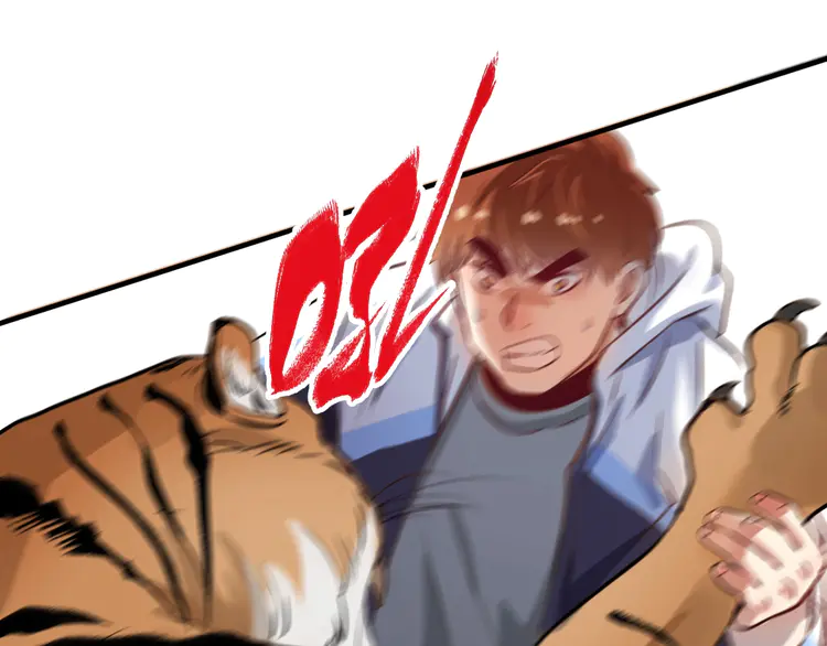 我的成就有点多167 第165话 猛虎来袭！