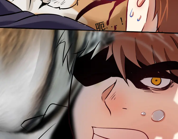 我的成就有点多167 第165话 猛虎来袭！