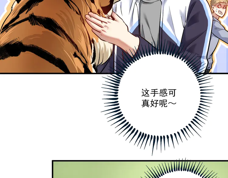 我的成就有点多169 第167话 第二只老虎？
