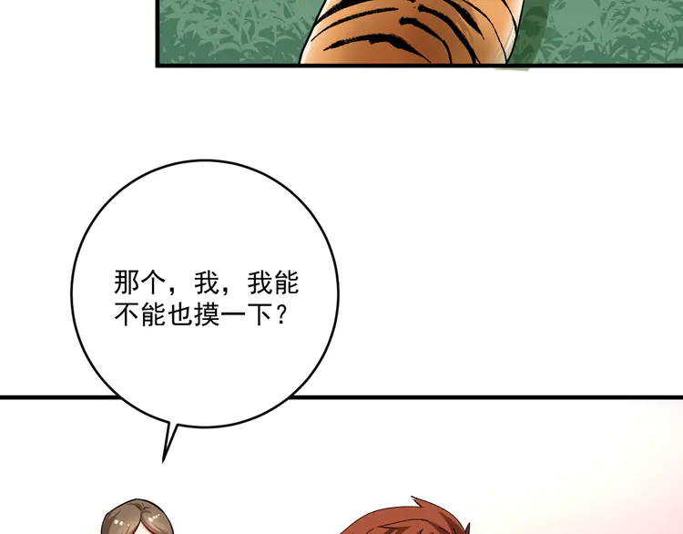 我的成就有点多169 第167话 第二只老虎？