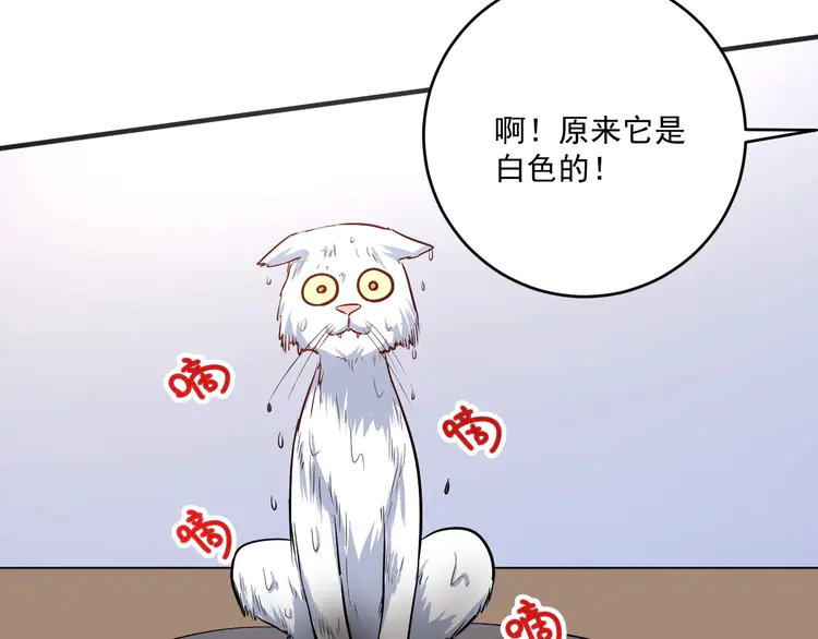 我的成就有点多173 第171话 重话赛场