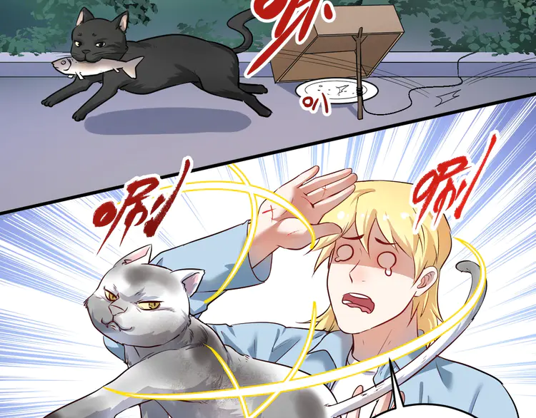 我的成就有点多173 第171话 重话赛场