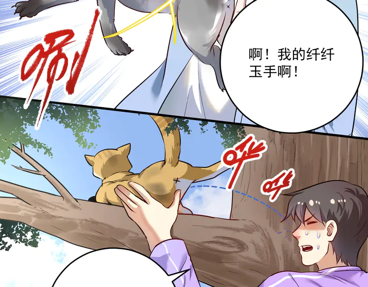 我的成就有点多173 第171话 重话赛场
