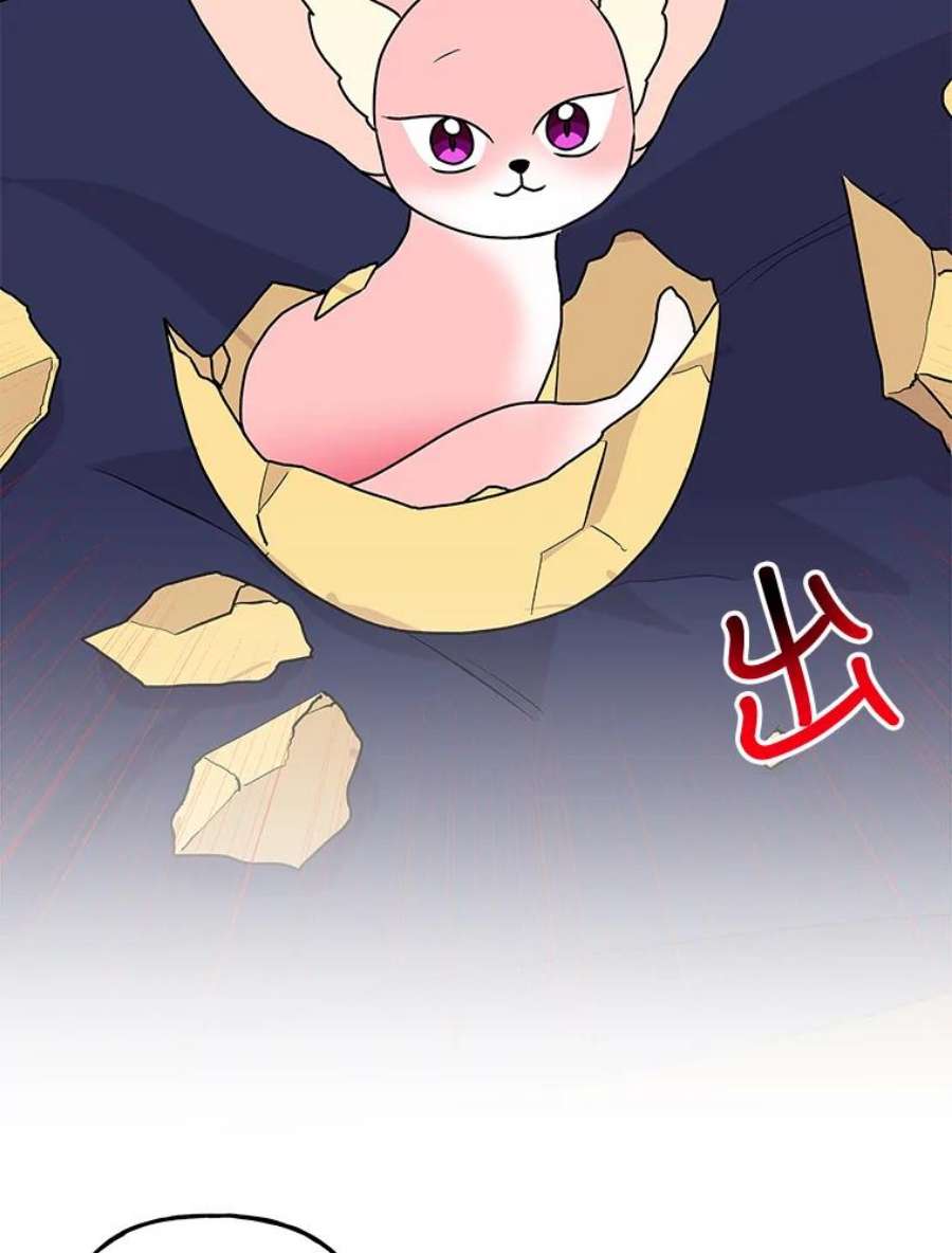 大魔法师的女儿95.破壳