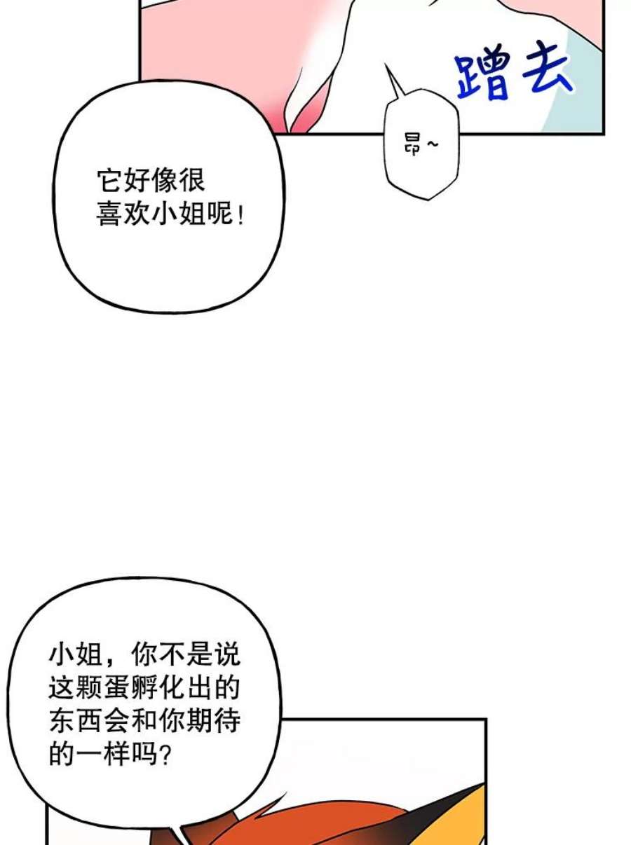 大魔法师的女儿95.破壳