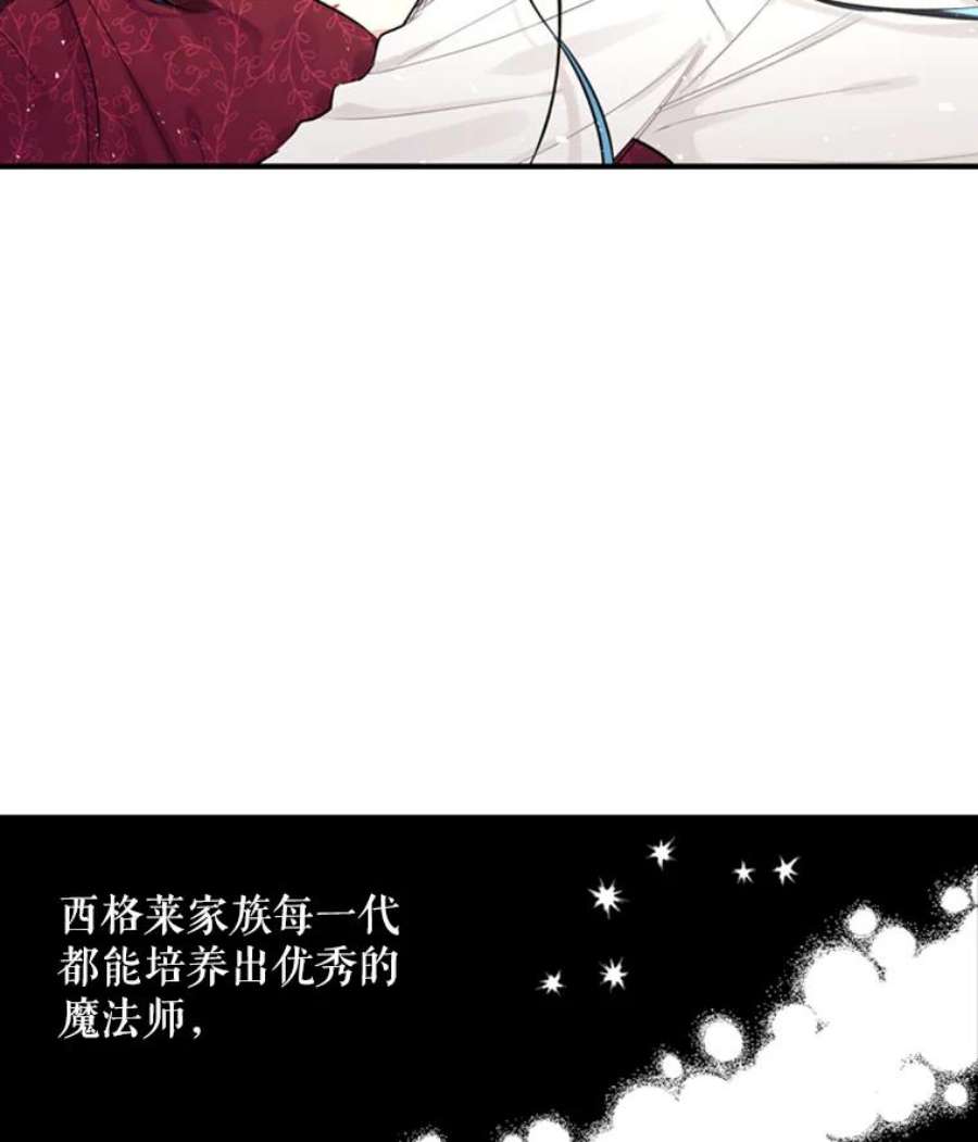 大魔法师的女儿1.西格莱的蠢货