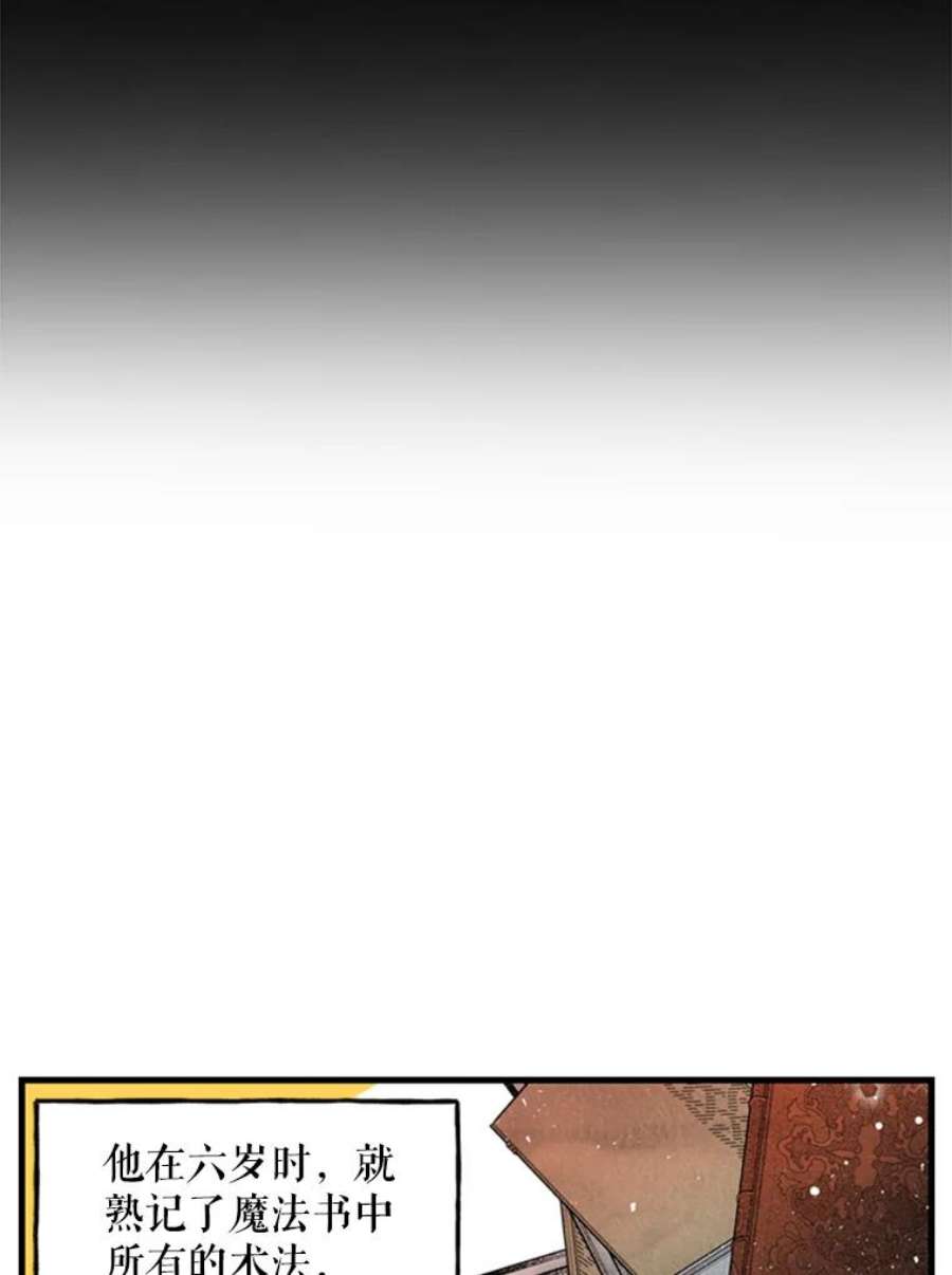 大魔法师的女儿1.西格莱的蠢货