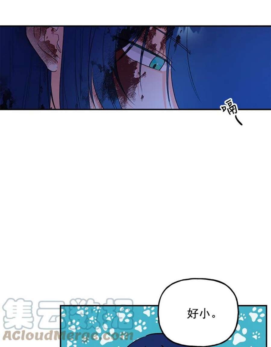 大魔法师的女儿3.初次见面