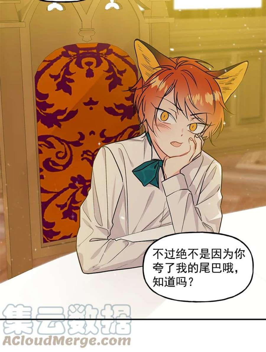 大魔法师的女儿5.小狐狸阿贝