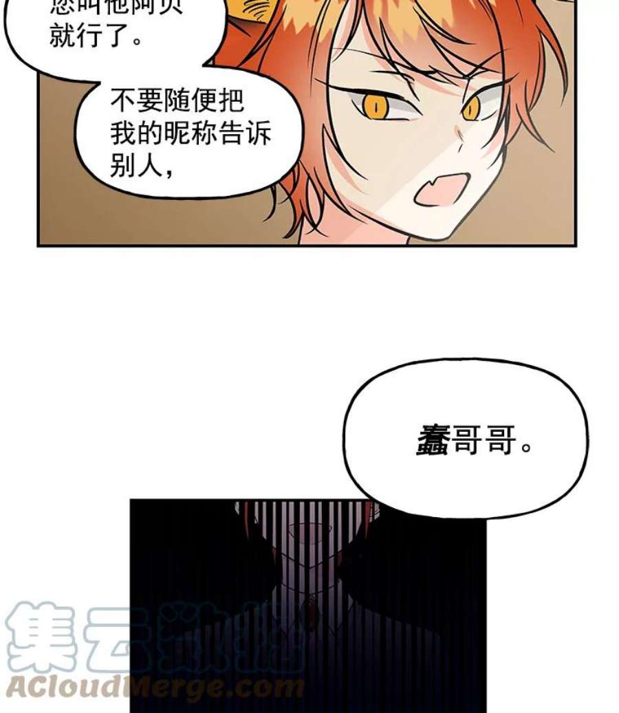 大魔法师的女儿7.参观