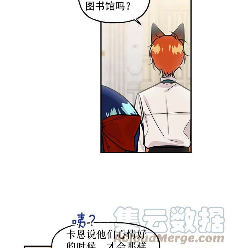 大魔法师的女儿7.参观