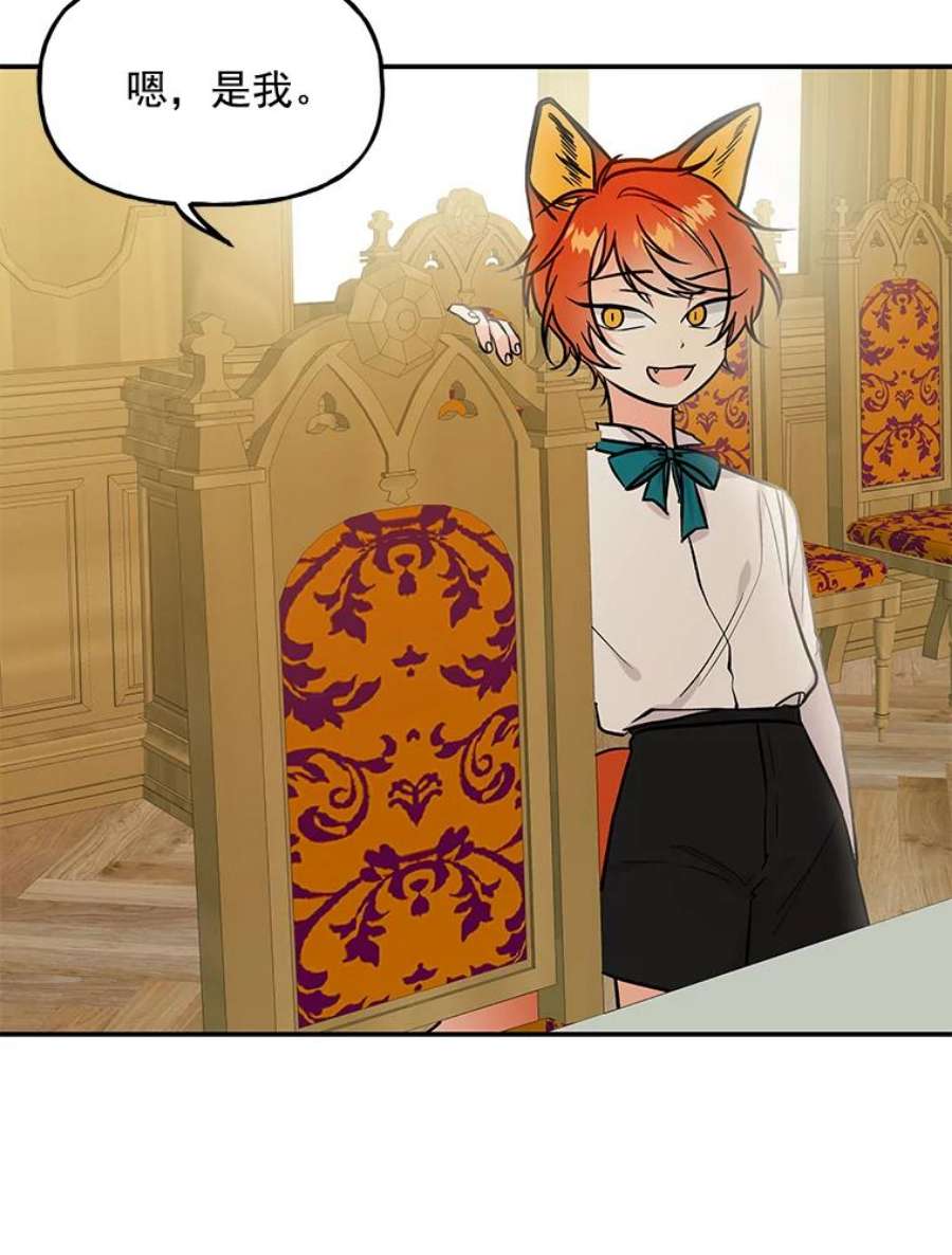 大魔法师的女儿13.平静的生活