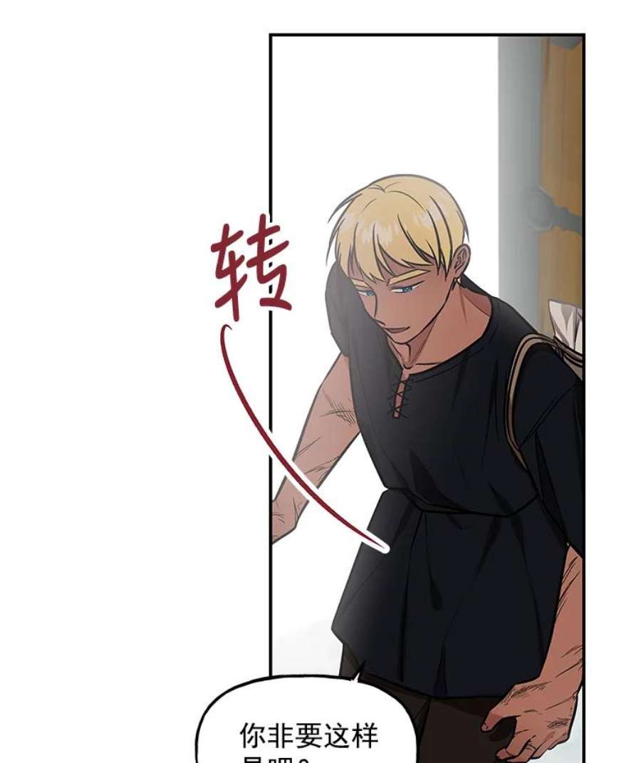 大魔法师的女儿14.奇怪的客人