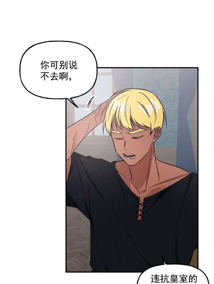 大魔法师的女儿15.皇室邀请函